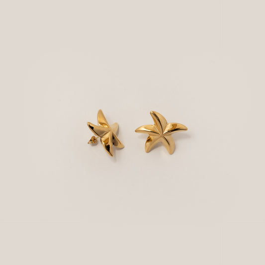 Aretes Estrella
