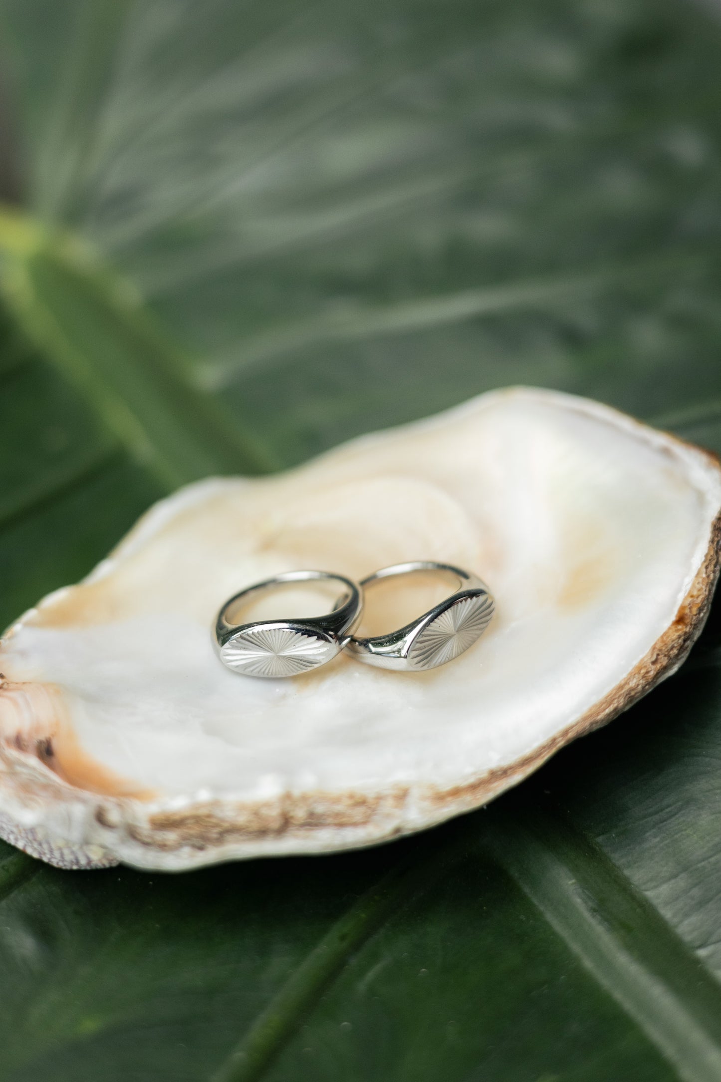 Anillo Galaxy Plateado