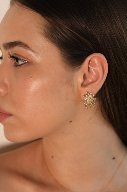 Aretes Ana