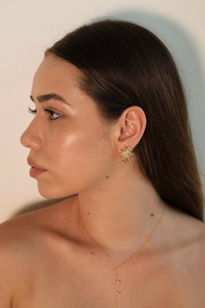 Aretes Ana