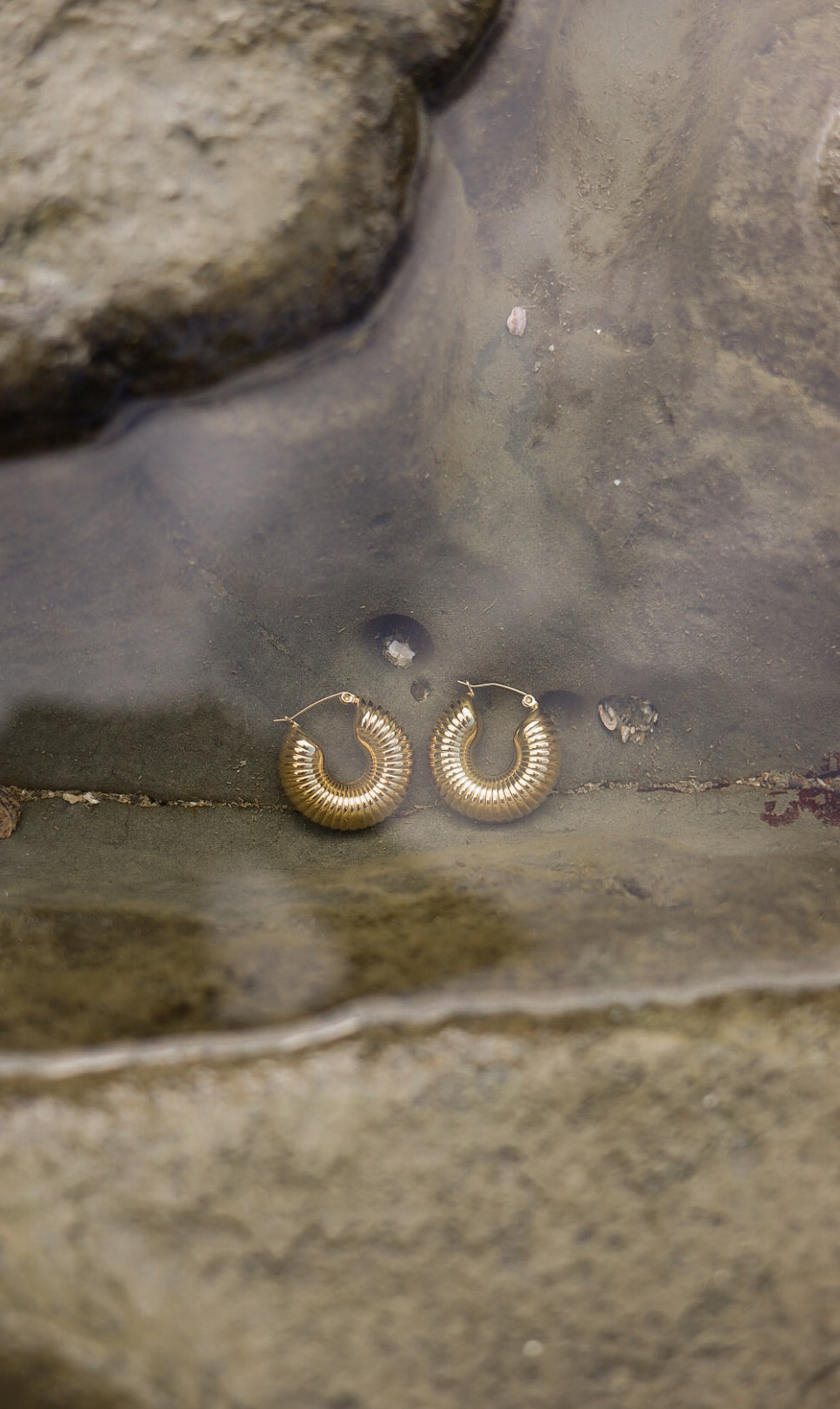 Aretes Gusano