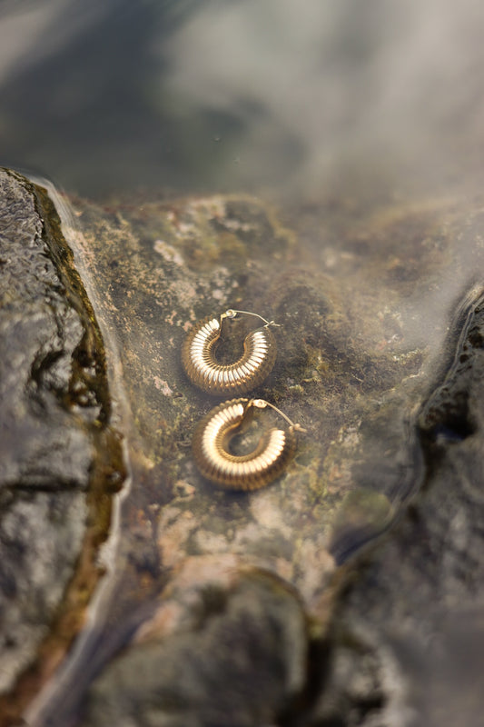 Aretes Gusano