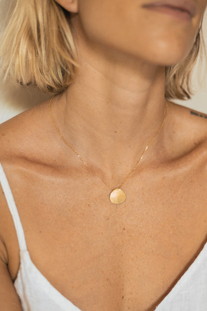 Collar Shell Gold